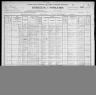 1900 United States Federal Census