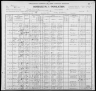 1900 United States Federal Census