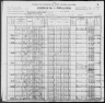 1900 United States Federal Census