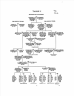 North America, Family Histories, 1500-2000