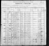 1900 United States Federal Census