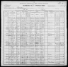 1900 United States Federal Census