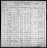 1900 United States Federal Census