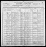 1900 United States Federal Census