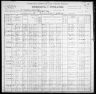 1900 United States Federal Census