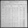 1900 United States Federal Census