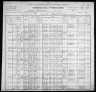 1900 United States Federal Census