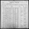 1900 United States Federal Census