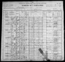 1900 United States Federal Census