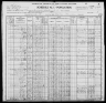 1900 United States Federal Census