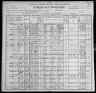 1900 United States Federal Census