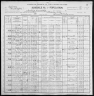 1900 United States Federal Census