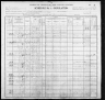 1900 United States Federal Census