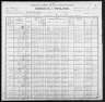 1900 United States Federal Census