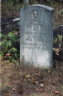 Img: Jenkins, Lewis