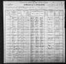 1900 United States Federal Census