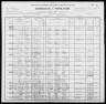 1900 United States Federal Census