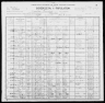 1900 United States Federal Census