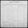 1900 United States Federal Census