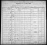 1900 United States Federal Census