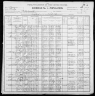 1900 United States Federal Census