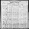 1900 United States Federal Census