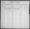 1900 United States Federal Census