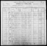 1900 United States Federal Census