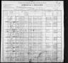 1900 United States Federal Census