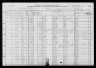 1920 United States Federal Census