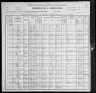 1900 United States Federal Census