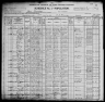 1900 United States Federal Census