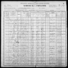 1900 United States Federal Census