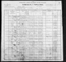 1900 United States Federal Census