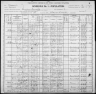 1900 United States Federal Census