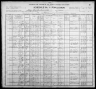 1900 United States Federal Census