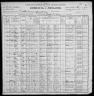 1900 United States Federal Census