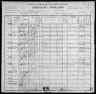 1900 United States Federal Census