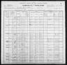 1900 United States Federal Census