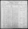 1900 United States Federal Census