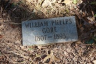 William Phelps Gore