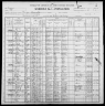 1900 United States Federal Census