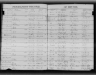 Missouri Birth Records, 1851-1910