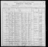 1900 United States Federal Census