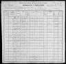 1900 United States Federal Census