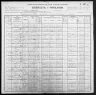 1900 United States Federal Census