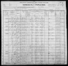 1900 United States Federal Census