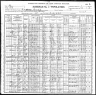 1900 United States Federal Census