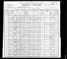 1900 United States Federal Census