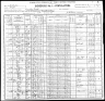 1900 United States Federal Census